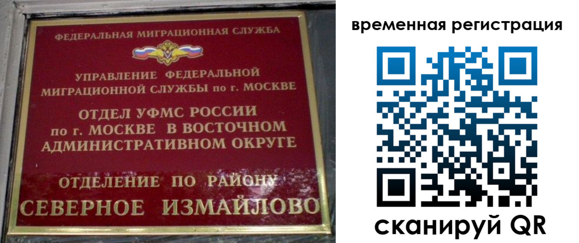 где прописаться в Лосино-Петровском