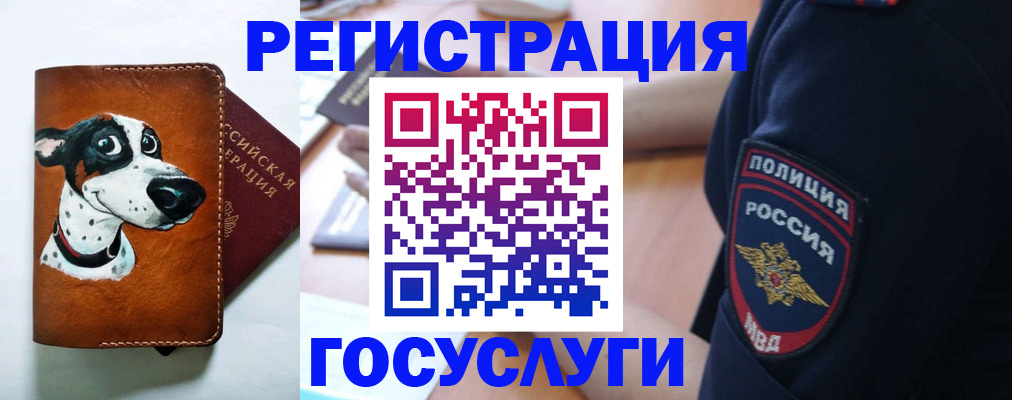 временная регистрация в квартире в Лосино-Петровском